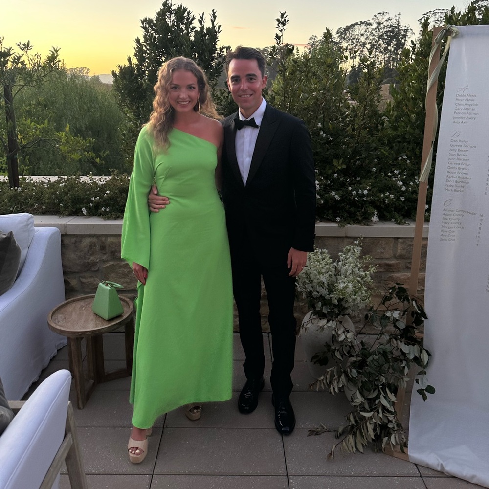 Cult Gaia Joelle gown